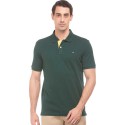 Solid Men Polo Neck Green T-Shirt